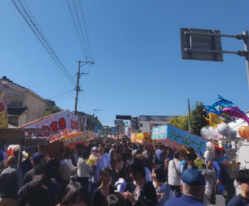 祭りを楽しむ大勢の地元の人々」や、「勇壮な大男の練り歩き」のリアルな写真。