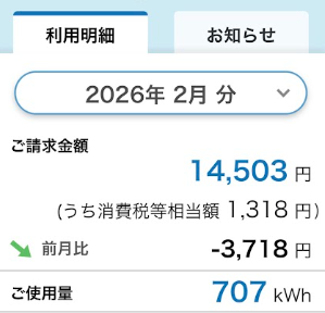 2月の実際の電気代の明細書