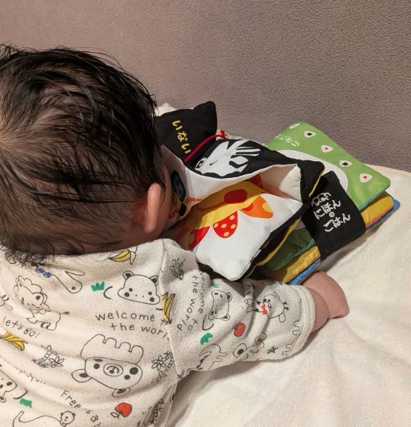 Sassy（サッシー）のあかちゃんぬのえほん「あーそーぼ」で遊ぶ生後6ヶ月の赤ちゃん